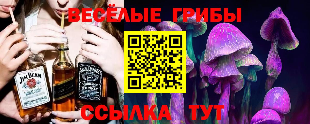 Галлюциногенные грибы Cubensis  Вход с VPN  Ачинск 