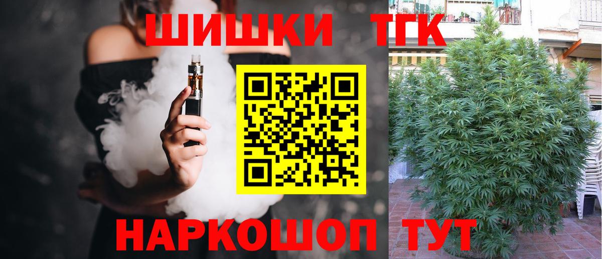 Конопля гибрид Ачинск